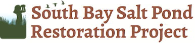 South Bay Salt Pond Restoration Project title banner